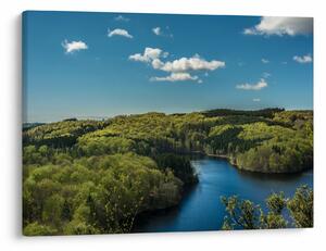 Slika - Jezero u šumi (70x50 cm)