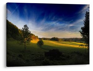 Slika - Planinska livada (70x50 cm)