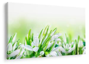 Slika - Visibabe (90x60 cm)