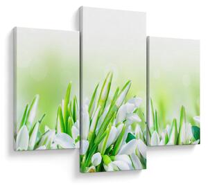 Slika - Visibabe (90x60 cm)
