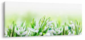 Slika - Visibabe (120x50 cm)