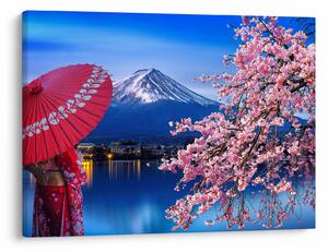 Slika - Pogled na vrh, Japan (70x50 cm)