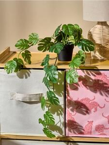 Sinsay - Ukrasna umjetna biljka