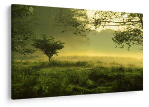 Slika - Buđenje šume (90x60 cm)