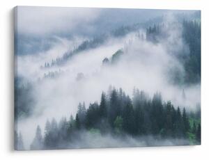 Slika - Drveće u magli (70x50 cm)