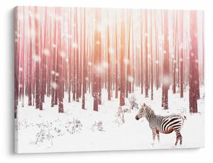 Slika - Zebra u snježnoj šumi (70x50 cm)