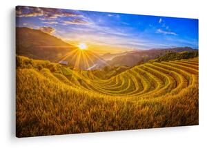 Slika - Rižine terase u Vijetnamu (90x60 cm)