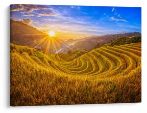 Slika - Rižine terase u Vijetnamu (70x50 cm)