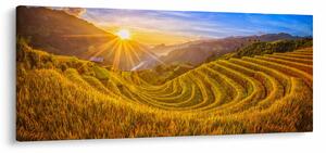 Slika - Rižine terase u Vijetnamu (120x50 cm)