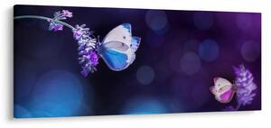 Slika - Leptiri na lavandi (120x50 cm)