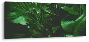 Slika - Lišće palme (120x50 cm)
