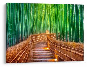Slika - Šuma japanskog bambusa (70x50 cm)