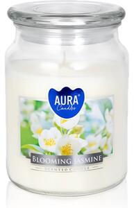 BISPOL Premium Line Jasmine mirisna svijeća 500 g