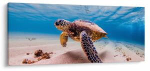 Slika - Kornjača u oceanu (120x50 cm)