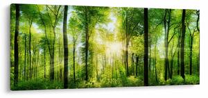 Slika - Zora u šumi (120x50 cm)