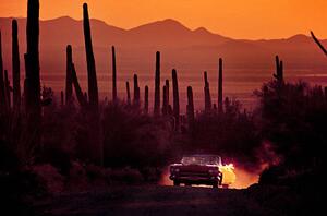 Ilustracija Cowboy Cadillac in Desert by Kevin Cruff