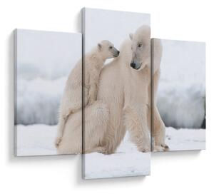 Slika - Polarni medvjedi (90x60 cm)