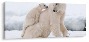 Slika - Polarni medvjedi (120x50 cm)