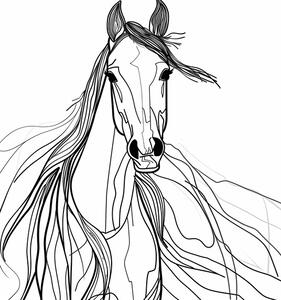 Ilustracija Line Horse, Justyna Jaszke, (30 x 40 cm)