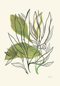 Ilustracija Foliage N.1, Catalina Somolinos, (26.7 x 40 cm)
