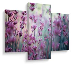 Slika - Lavanda (90x60 cm)