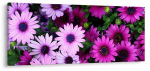 Slika - Cvijeće (120x50 cm)