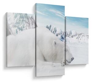 Slika - Polarni medvjed (90x60 cm)