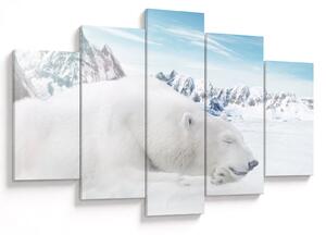 Slika - Polarni medvjed (150x105 cm)