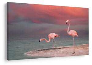 Slika Flaminga (90x60 cm)