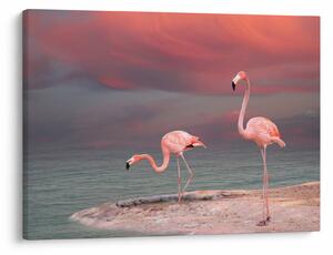 Slika Flaminga (70x50 cm)