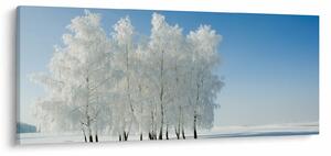 Slika - Snježni krajolik (120x50 cm)
