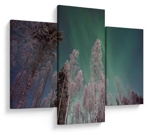 Slika polarne svjetlosti nad zaleđenim drvećem (90x60 cm)