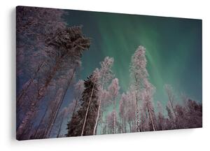 Slika polarne svjetlosti nad zaleđenim drvećem (90x60 cm)