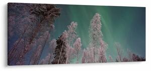 Slika polarne svjetlosti nad zaleđenim drvećem (120x50 cm)