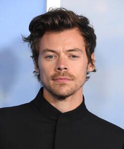 Fotografija Harry Styles at the Premiere Of My Policeman, Steve Granitz