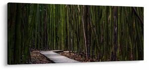 Slika - Između bambusa (120x50 cm)