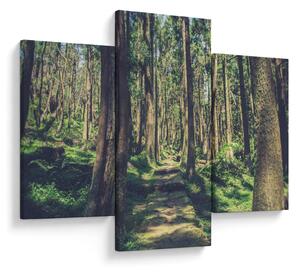 Slika staze između drveća (90x60 cm)