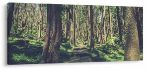 Slika staze između drveća (120x50 cm)