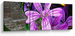 Slika - livadsko cvijeće (sa satom) (90x30 cm)