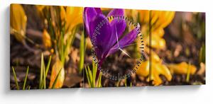 Slika ljubičastog cvijeta (sa satom) (90x30 cm)