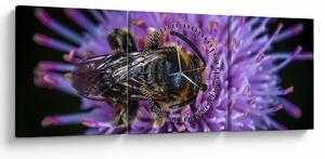Slika pčele na cvijetu (sa satom) (90x30 cm)