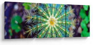 Slika kaktusa (sa satom) (90x30 cm)