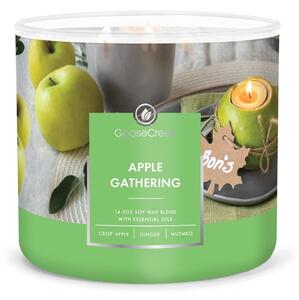 Mirisna svijeća od sojinog voska vrijeme gorenja 35 h Apple Gathering – Goose Creek