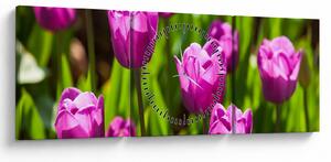 Slika tulipana na livadi (sa satom) (90x30 cm)