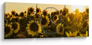 Slika polja suncokreta (sa satom) (90x30 cm)