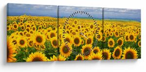 Slika polja suncokreta (sa satom) (90x30 cm)