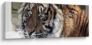 Slika tigra (sa satom) (90x30 cm)