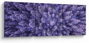 Slika snježnih stabala (sa satom) (90x30 cm)