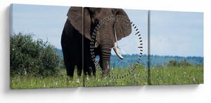 Slika slona (sa satom) (90x30 cm)