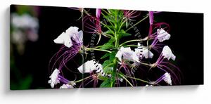 Slika cvijeta (sa satom) (90x30 cm)